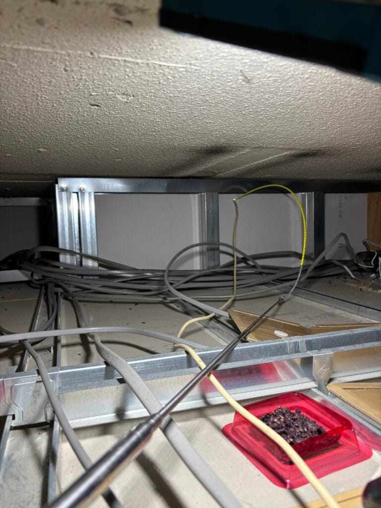 立川市リモコン配線通線通し中 屋根裏